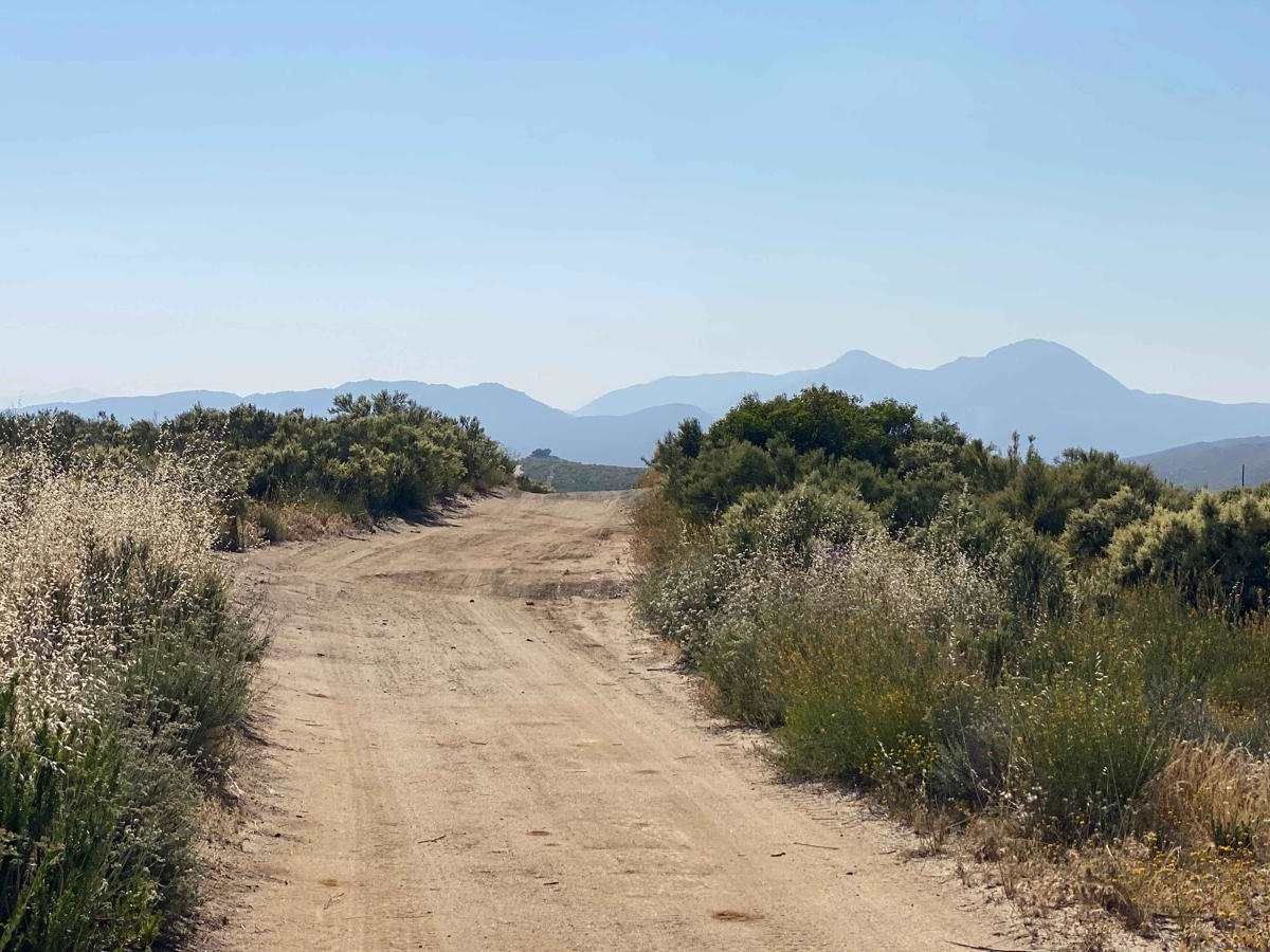Control Tower Trail photo 5