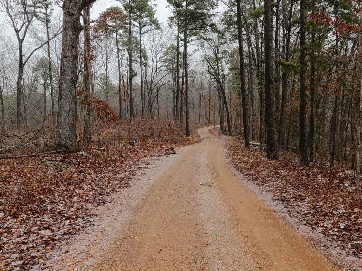Timber Lane - FS 2514 photo 6