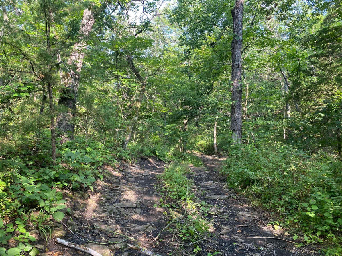S Loop photo 4