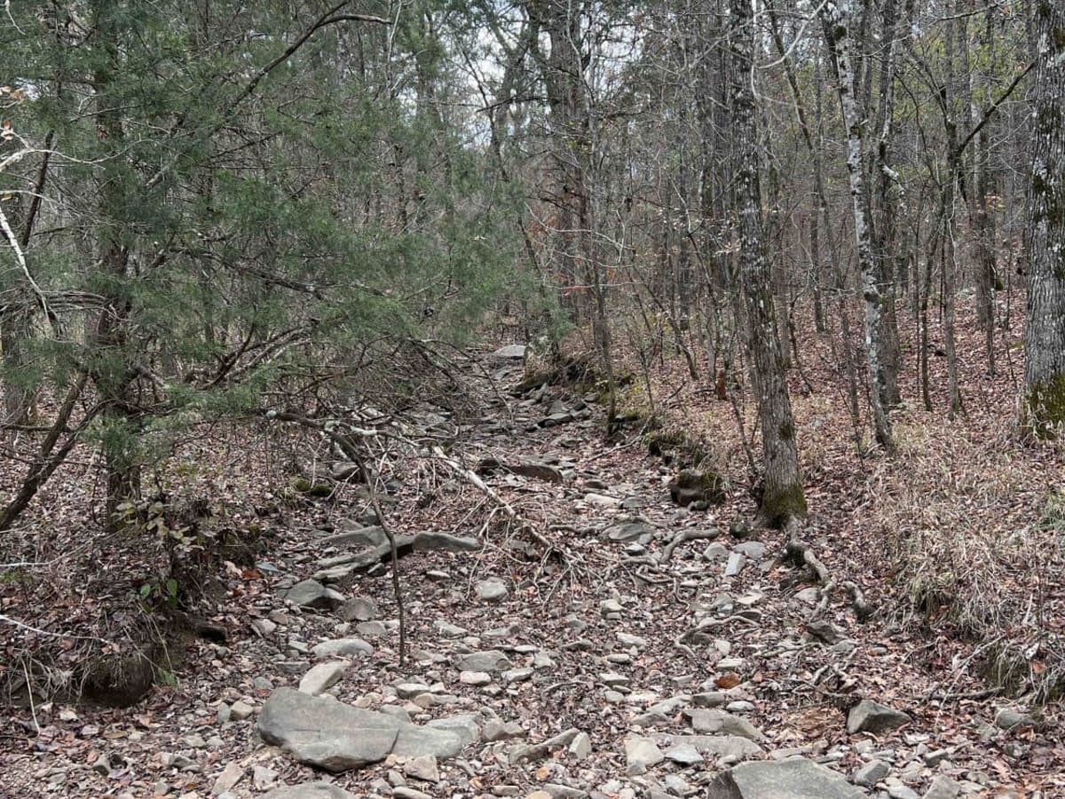 Long Caney 849 to South Fourche LaFave River photo 2