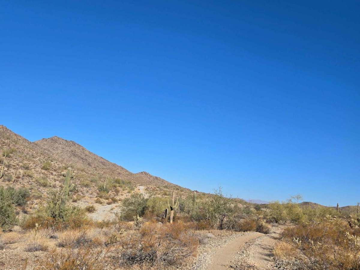 HS36P trail photo