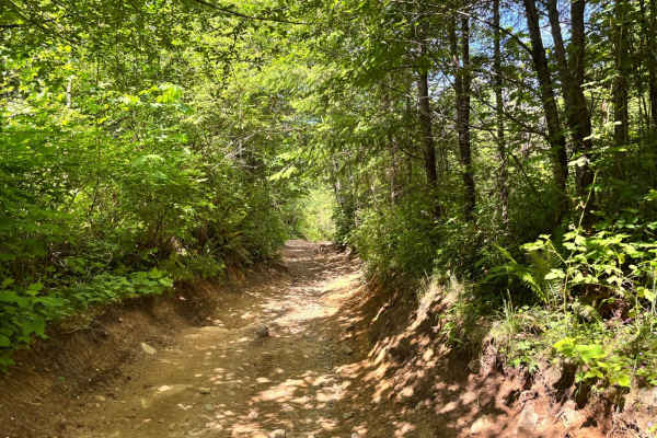 EZ Valley Connector