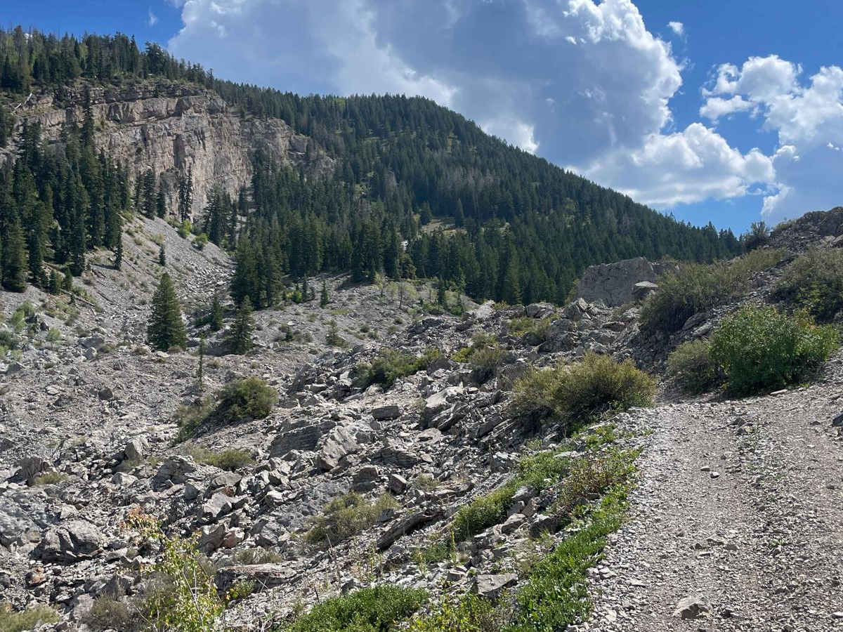 South Fork Weber - FR 031 trail photo