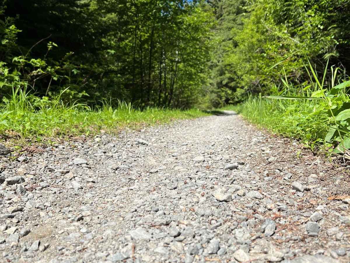 Mallardy Cr - NFSR 4030 trail photo