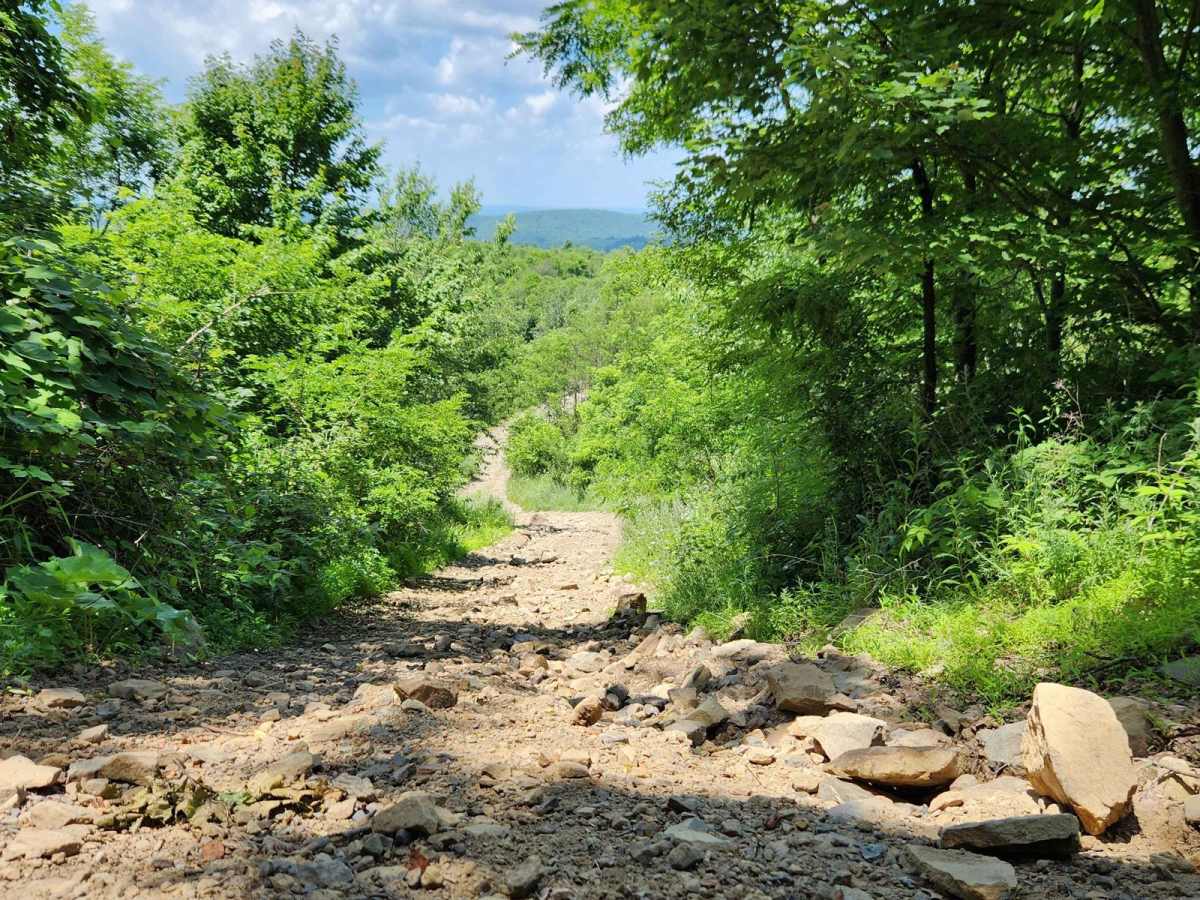 Trail 7C - Rock Run Recreation Area photo 2