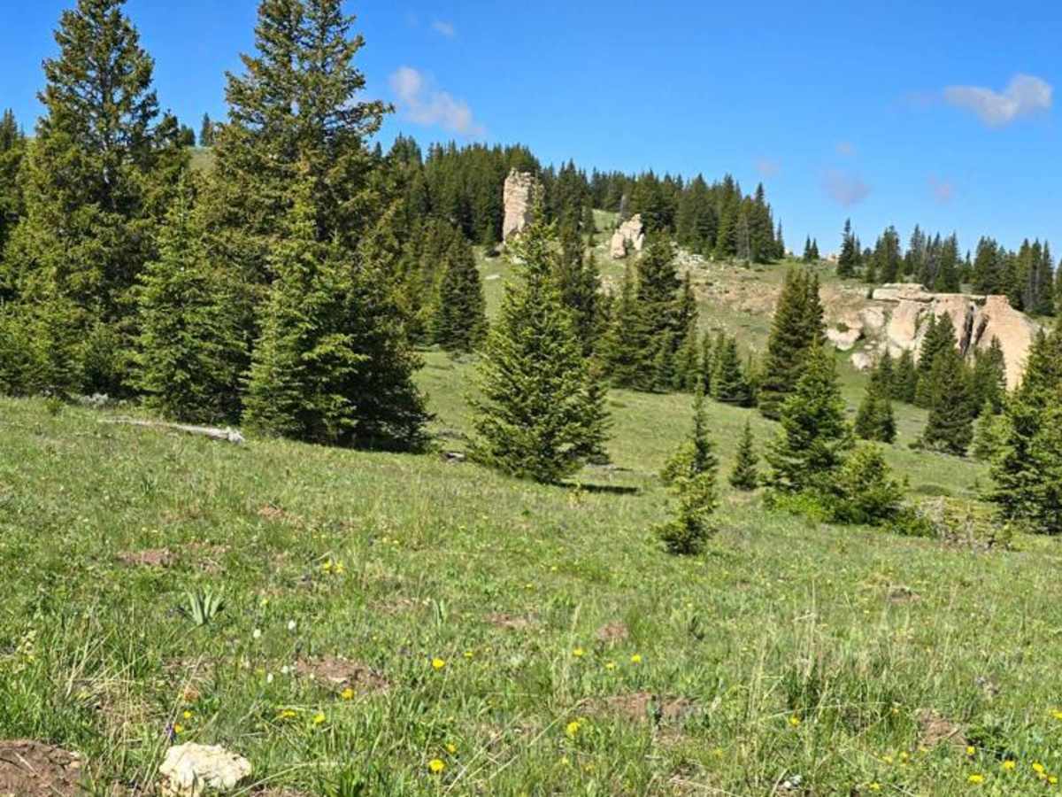 Copmans Tomb - Grouse Creek (Trails 216 & 219) photo 5