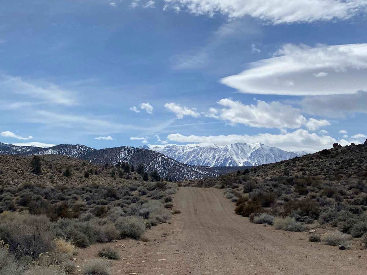 Chidago Loop Road photo 4
