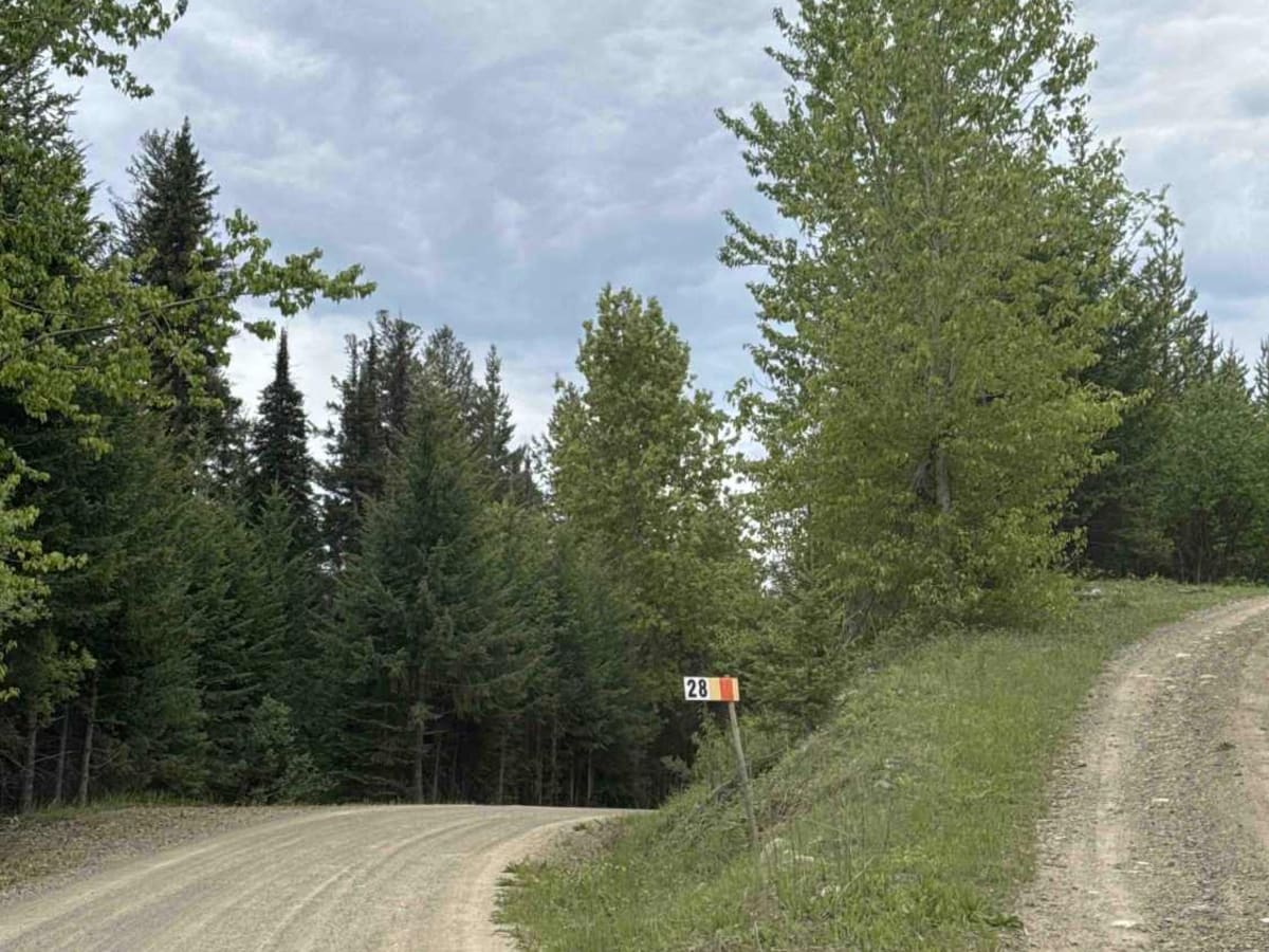 Jackpine Forest Service Road photo 3