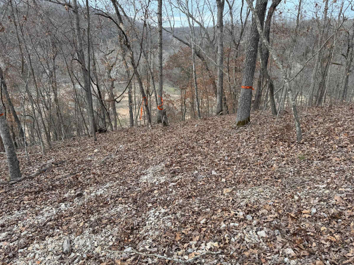 Purple 398 trail photo
