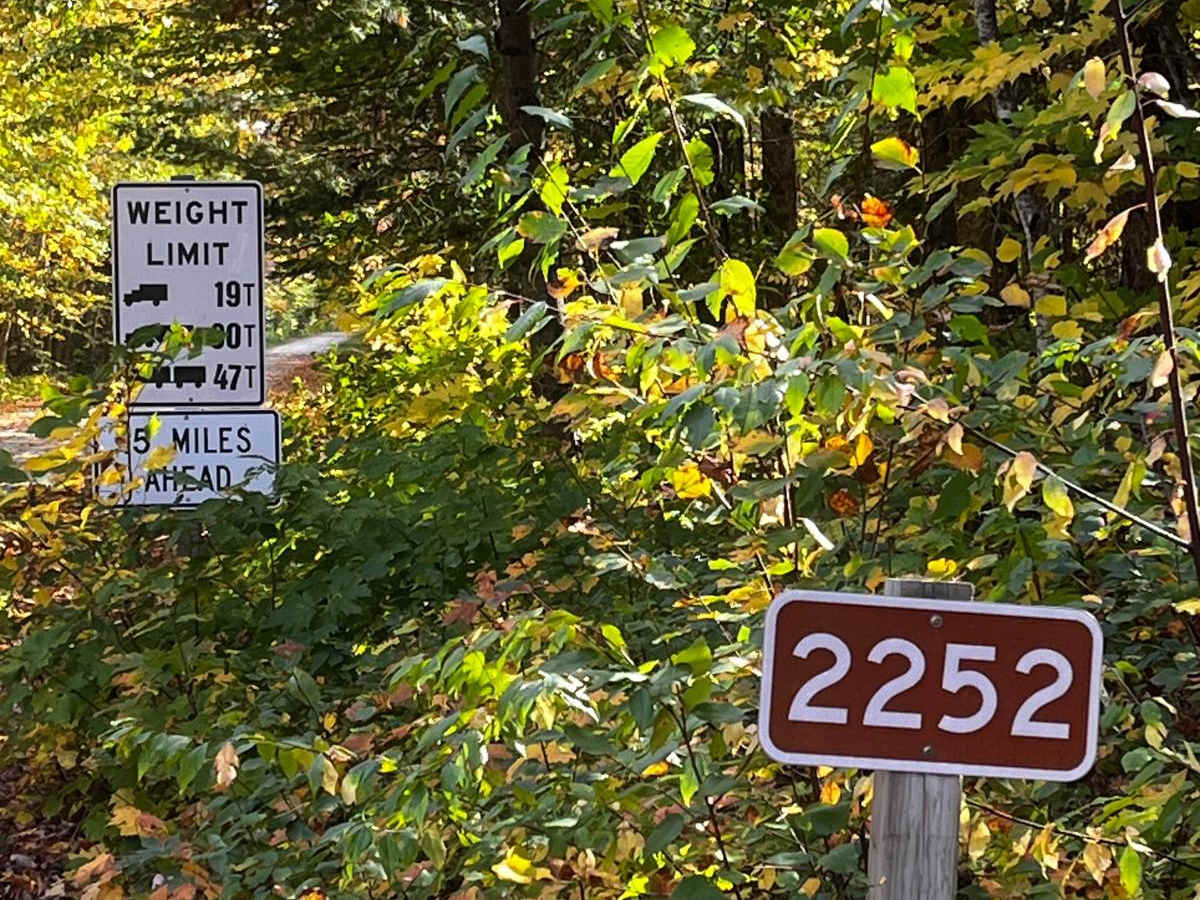 FS 2252 trail photo