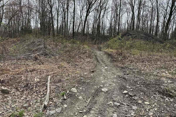 Tower City Single Track 1