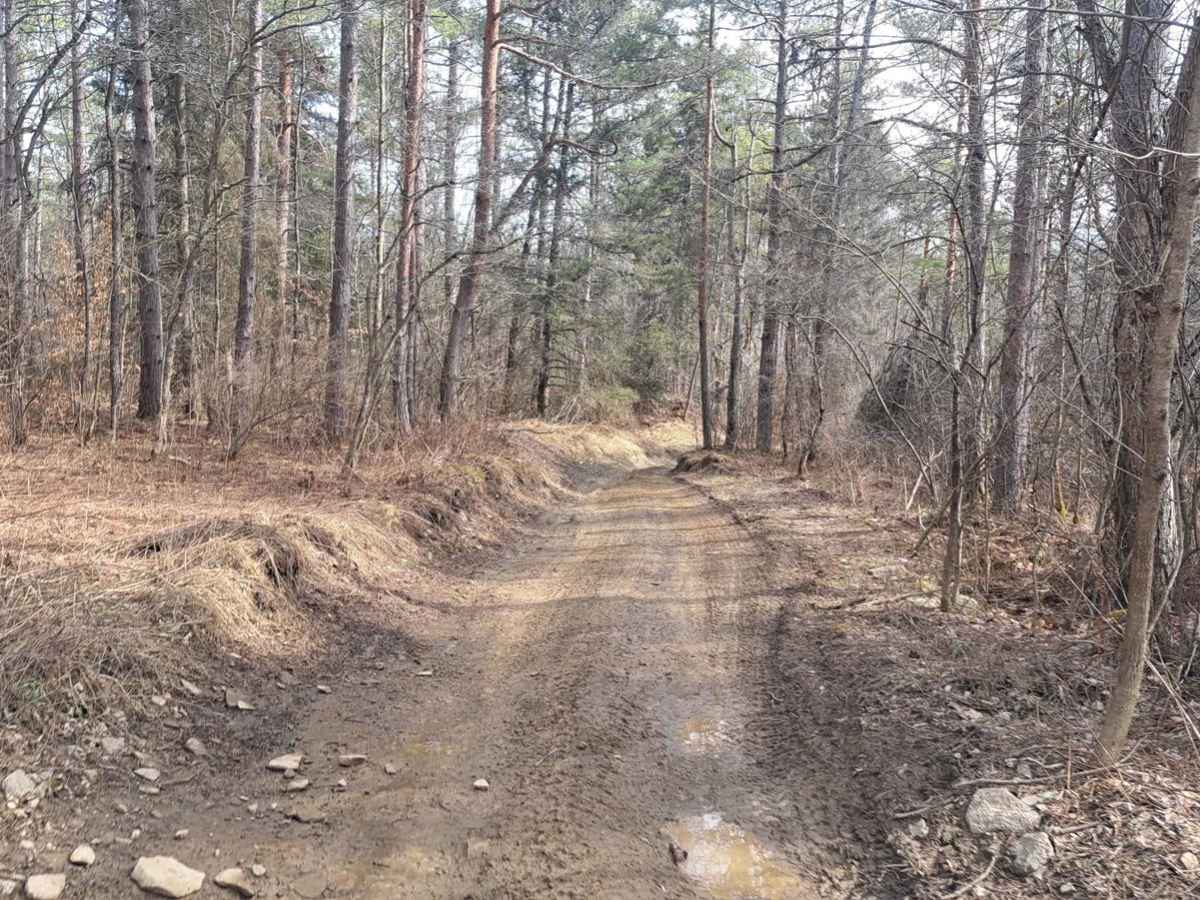 Wheel Chair trail photo