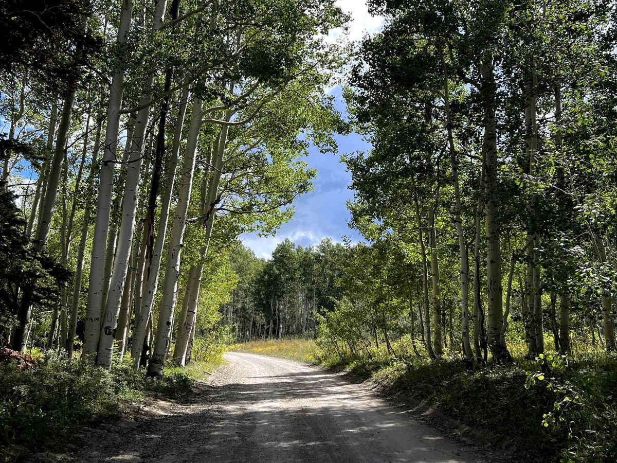 North Skyline Drive trail photo