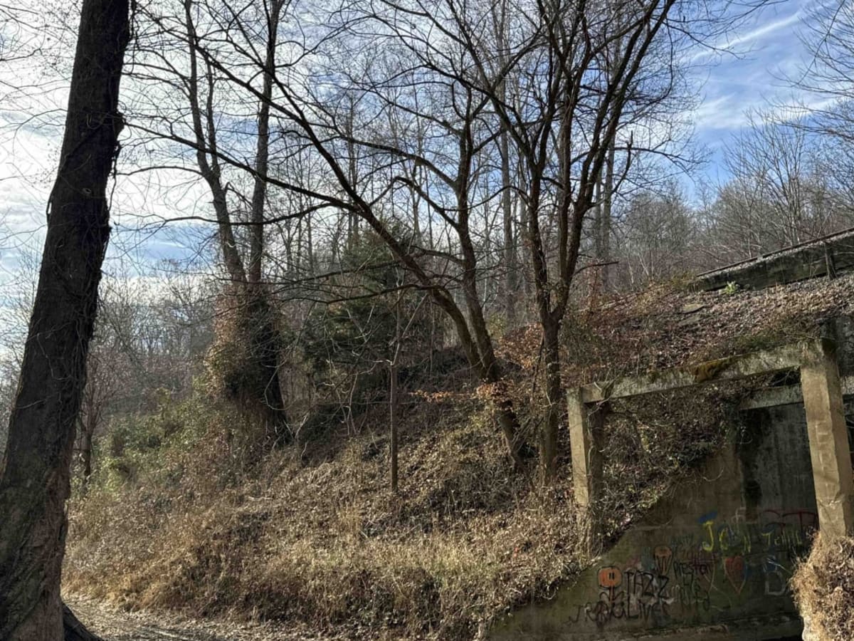 White Ash Road trail photo