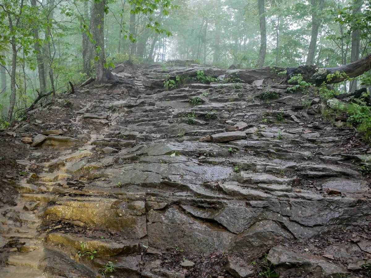 RH 151 trail photo