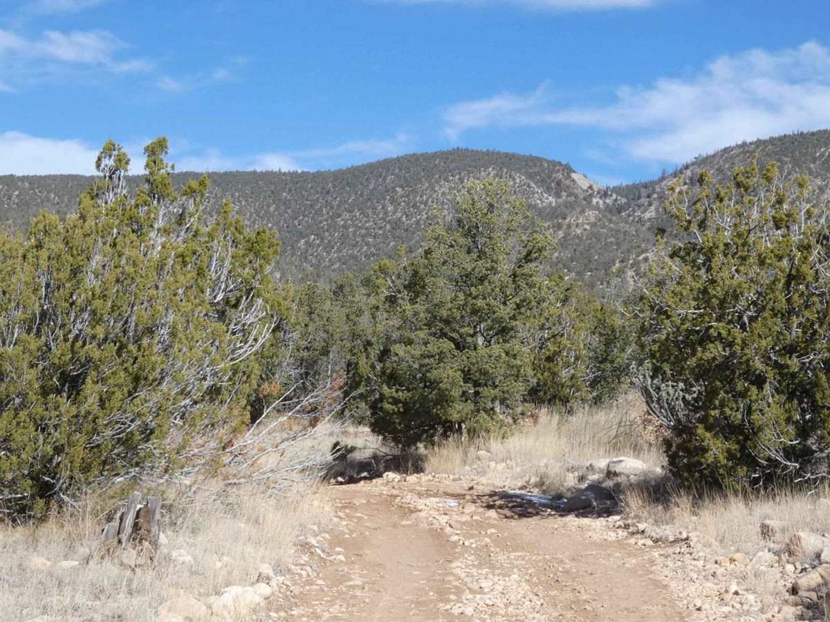 West Mountain photo 3