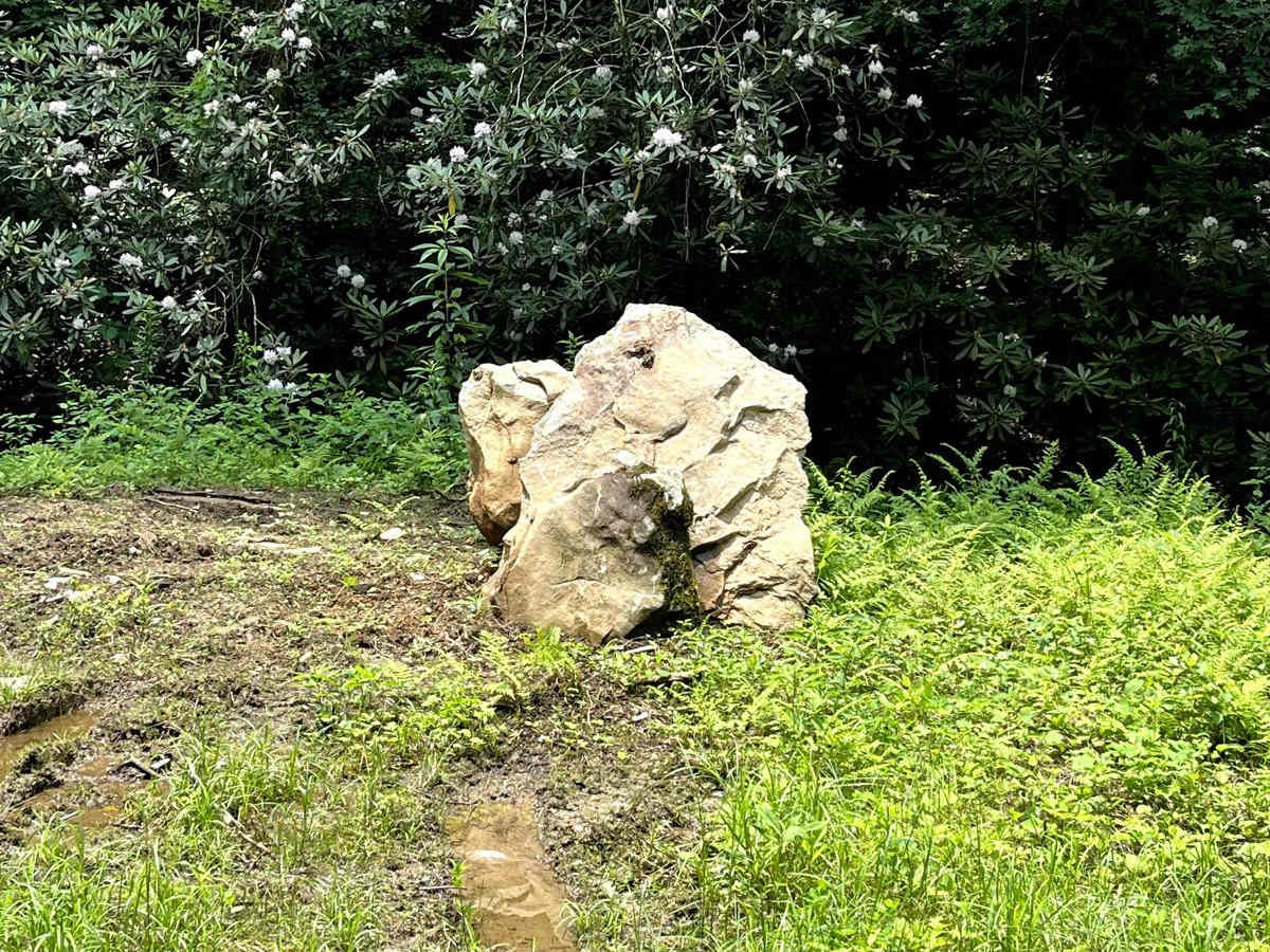 Mulberry Gap Road photo 3