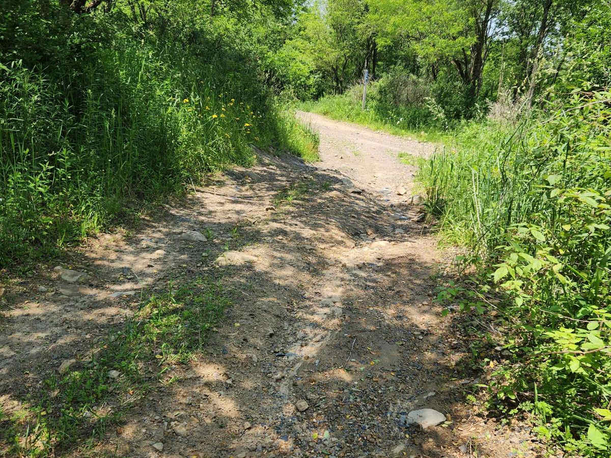 Trail 13A - Rock Run Recreation Area photo 3