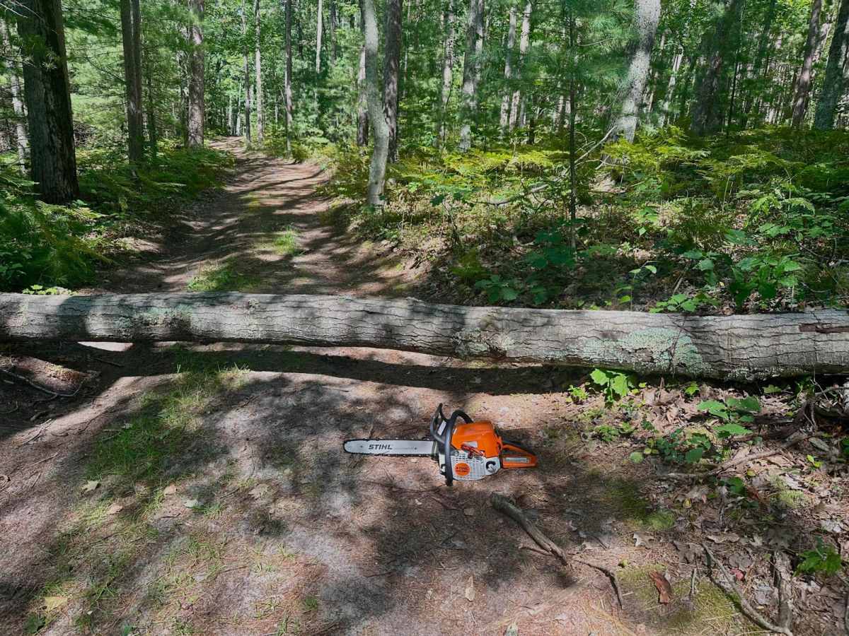 Deer Lake Road photo 2