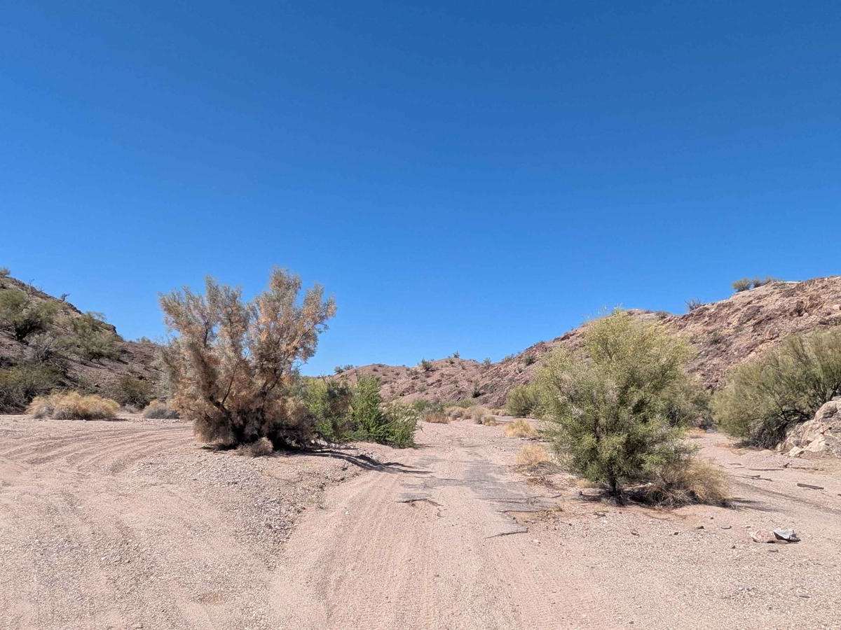 HM 127 photo 2
