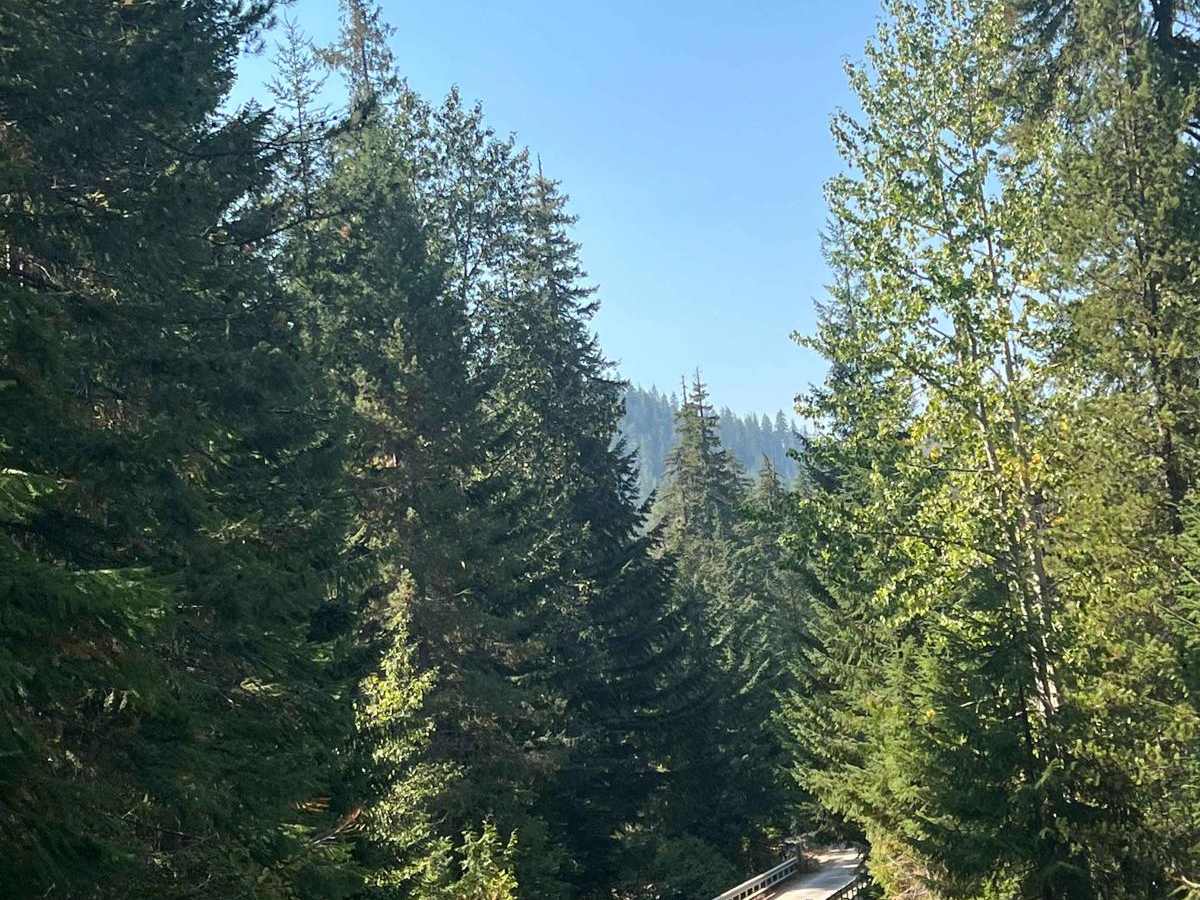 Labyrinth Mountain trail photo