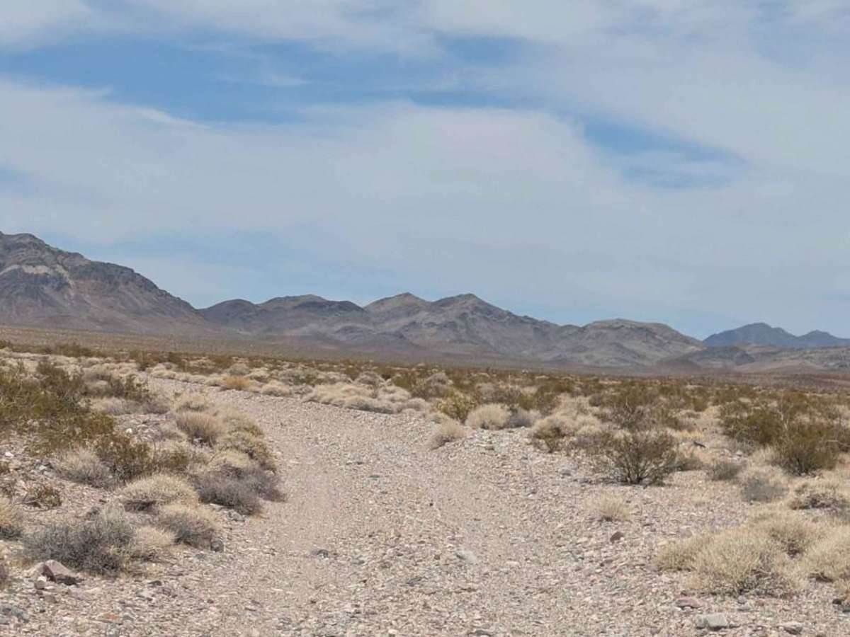BLM 927692 photo 6