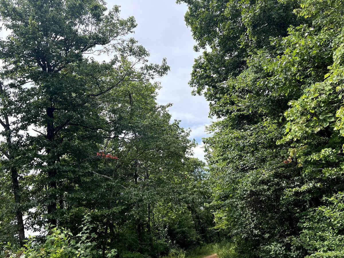 Walnut Ridge Connector photo 2