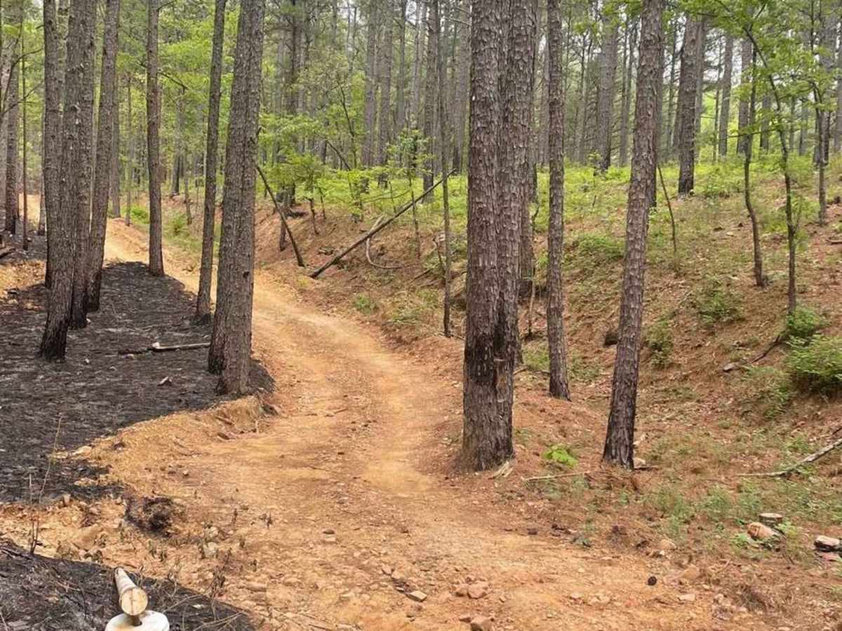 Hickory Nut Trail photo 2