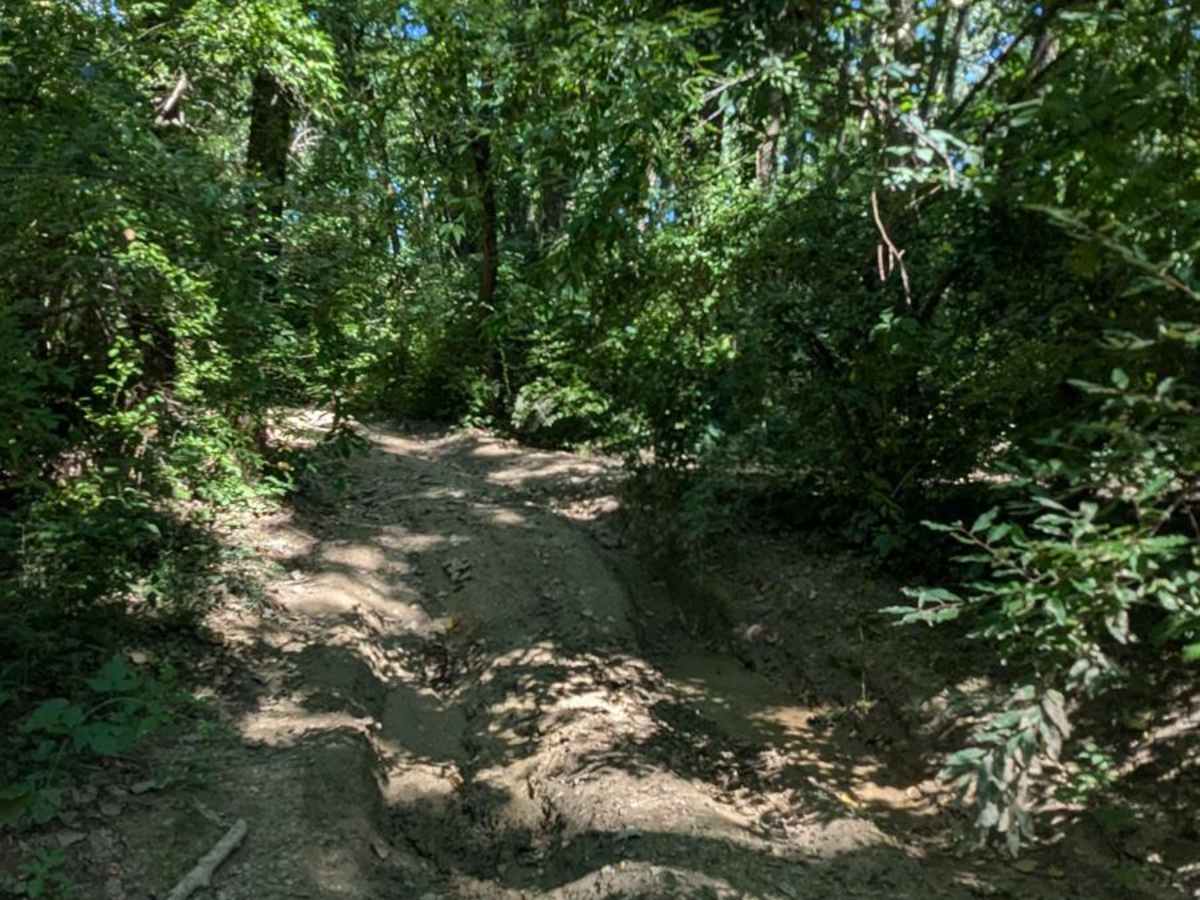 Border Trail Part 2 photo 5