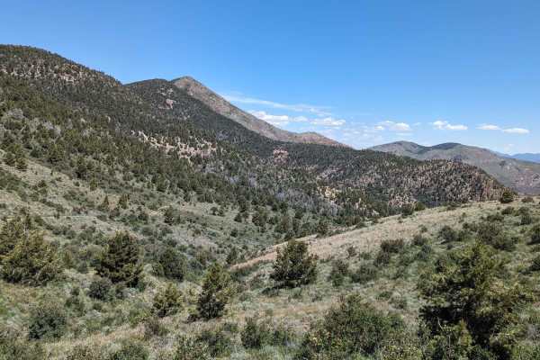 Johnny Canyon
