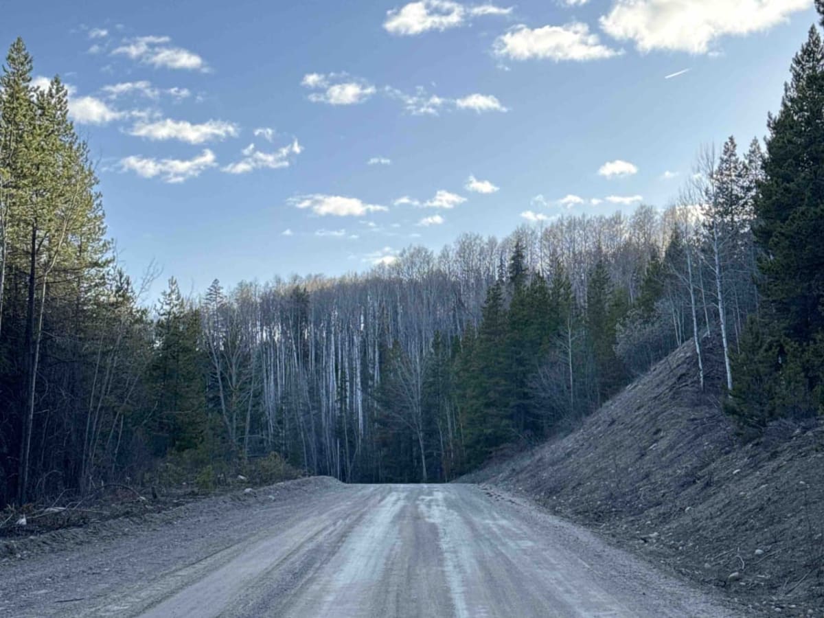 Bear Lake Main FSR photo 5
