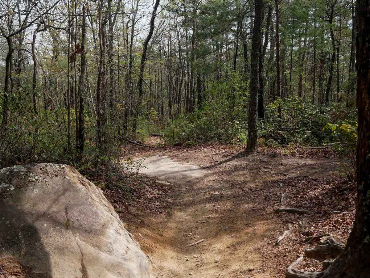 Trail 9  - 65 Inch trail photo