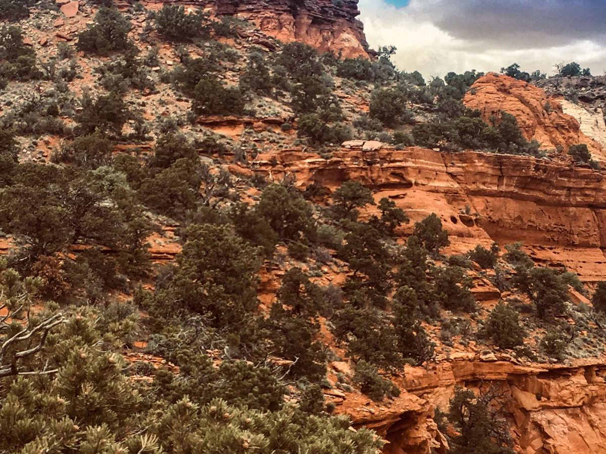 Glass Eye Spring-BLM 564-KC 3355 photo 6
