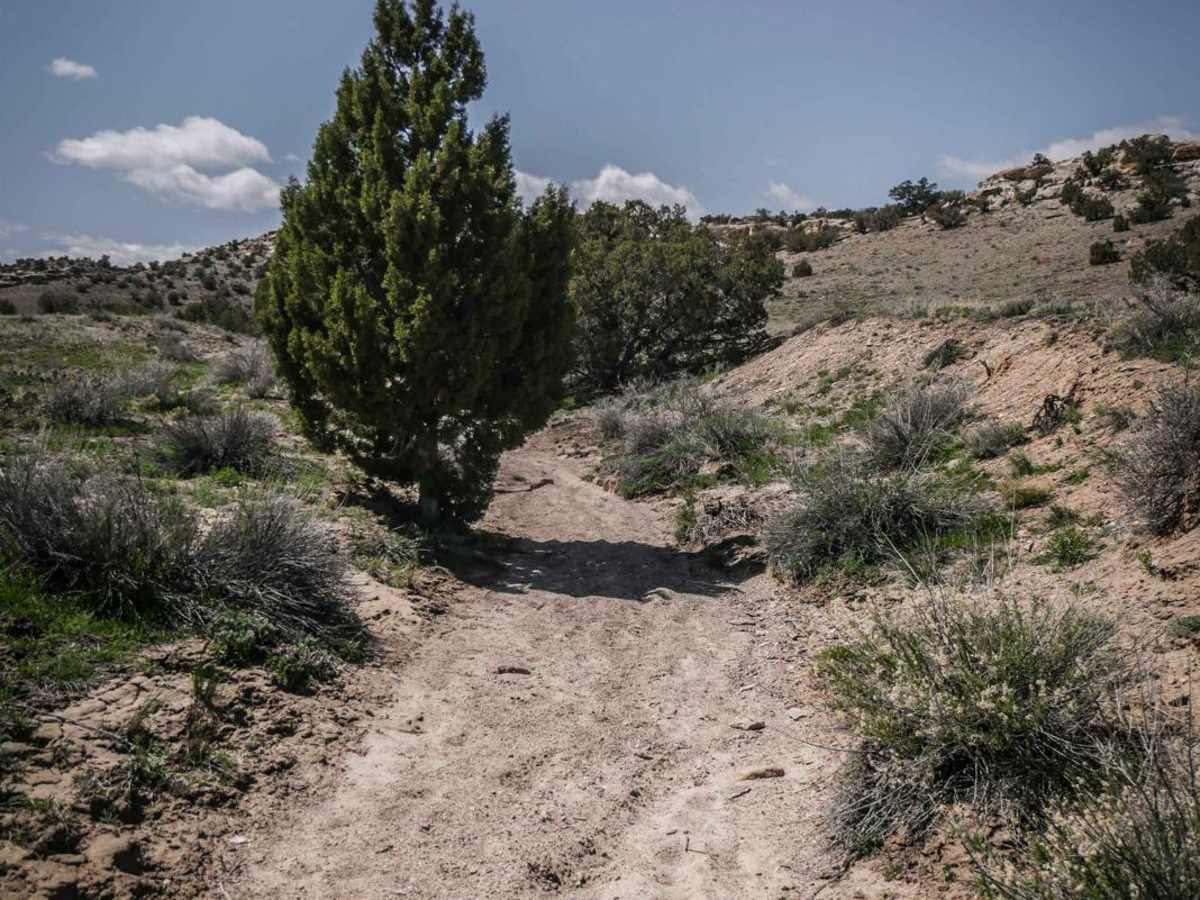 BLM Route 87 photo 5