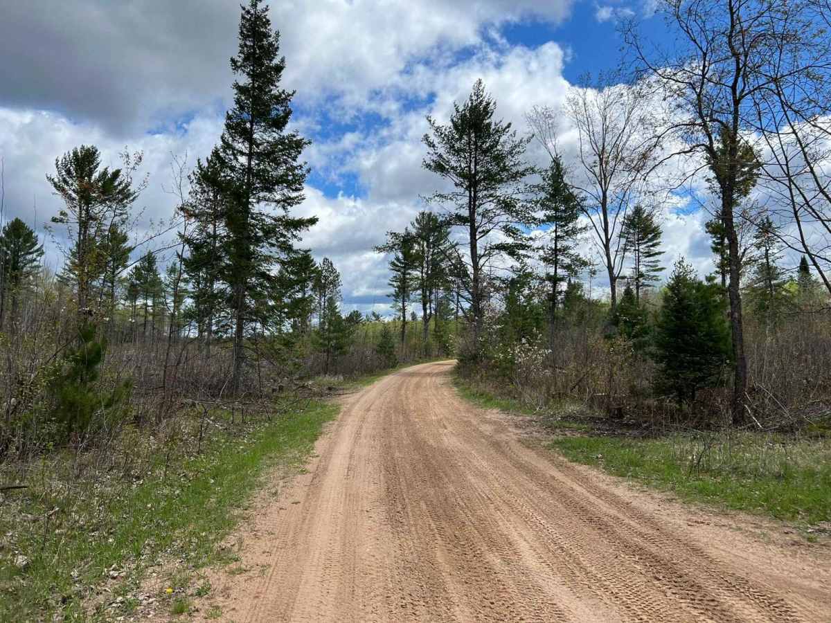Trail A/Carney Lake Road photo 5