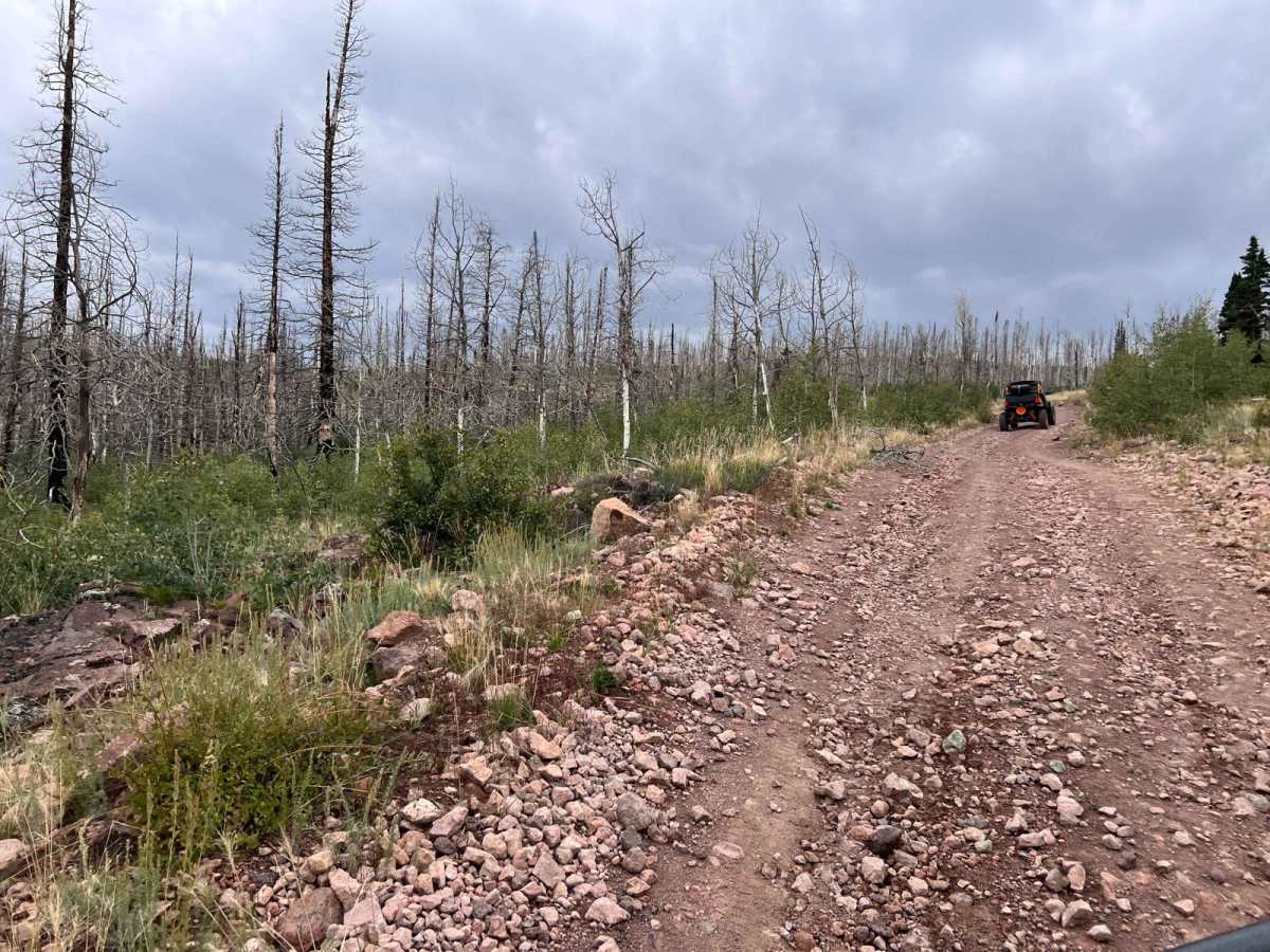 Red Creek Road (FR30078) photo 5
