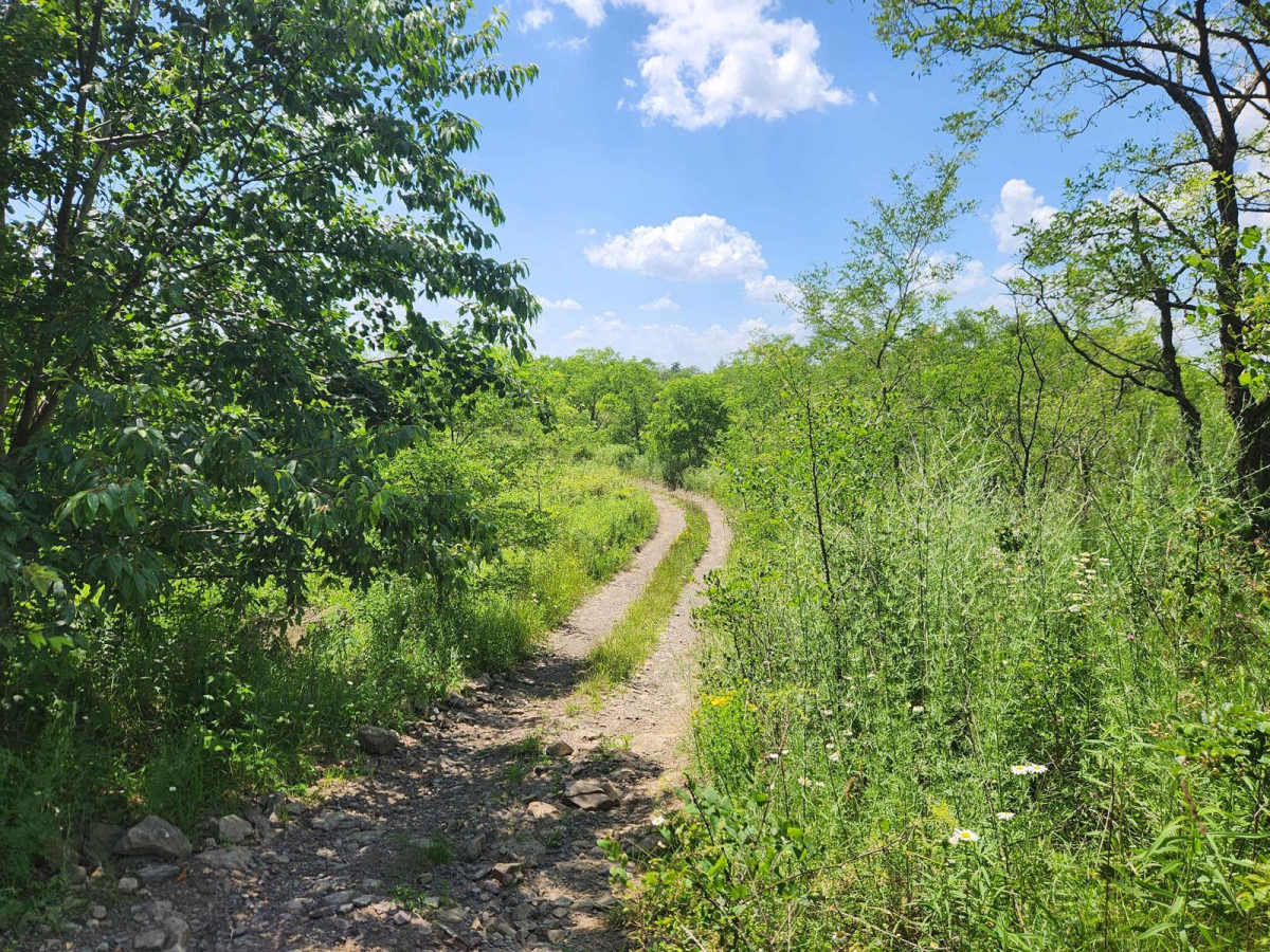 Trail 8A - Rock Run Recreation Area photo 3
