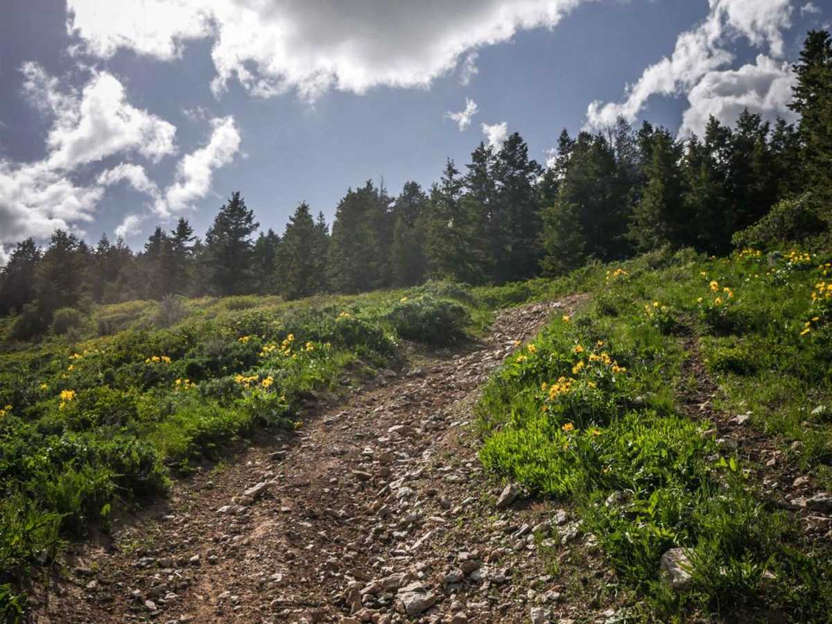 Clifton Basin to Weston Peak ATV 7433 (Part 1) photo 4