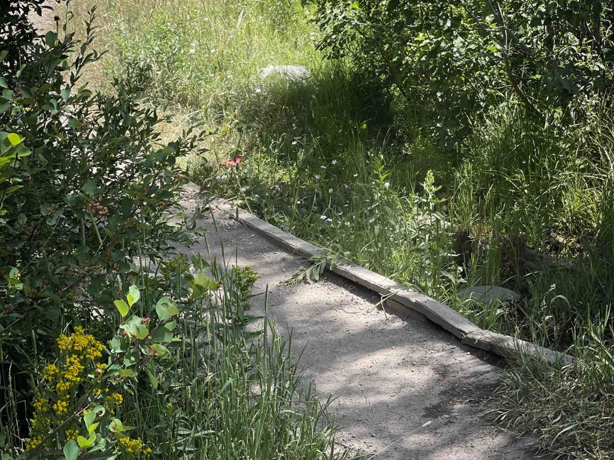 Poison Creek photo 5