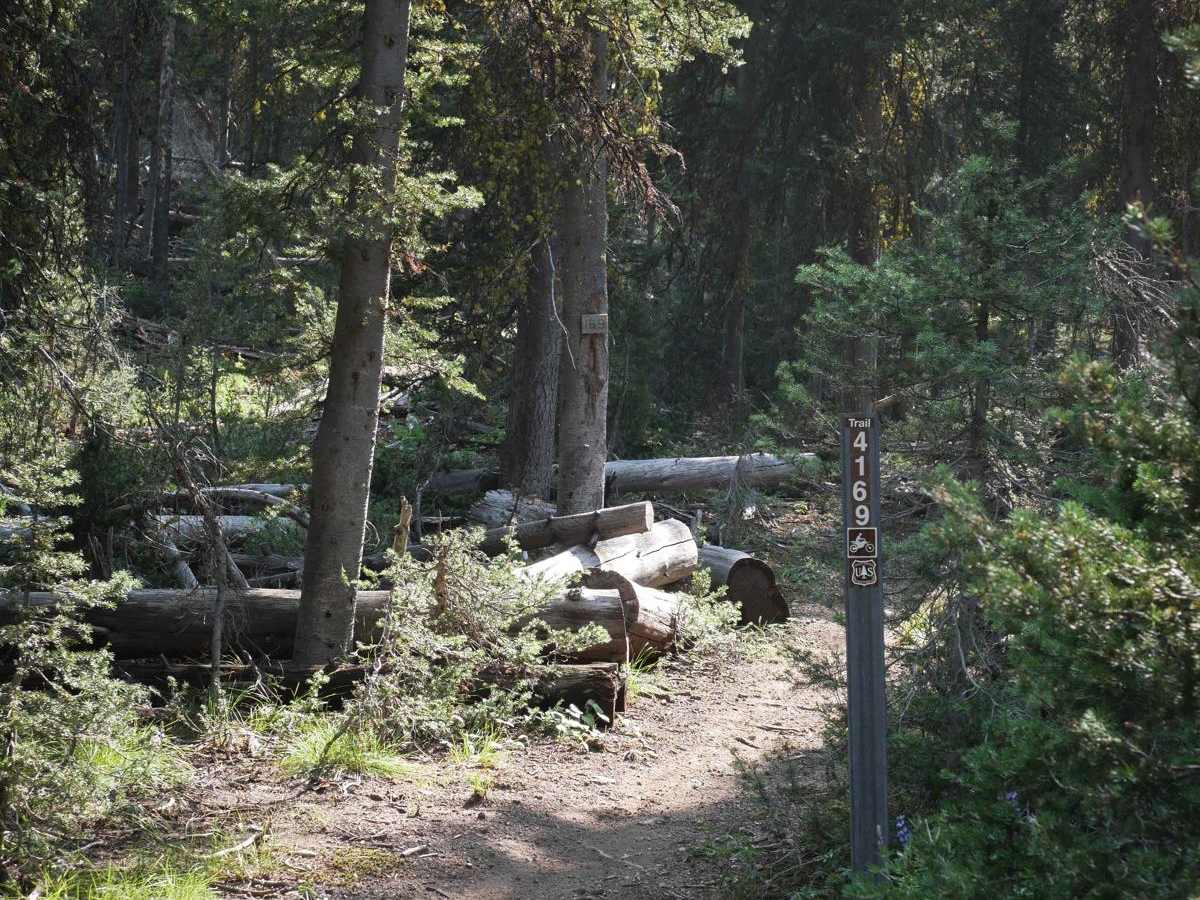 Peach Muley Cutoff photo 6
