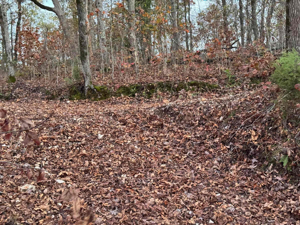 Red 161 photo 2