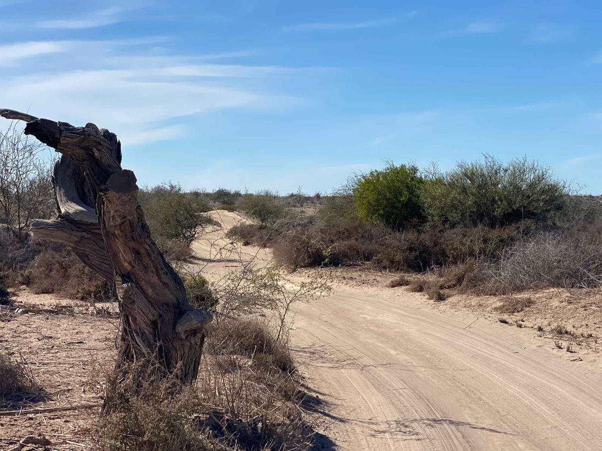 Estero San Jorge photo 3