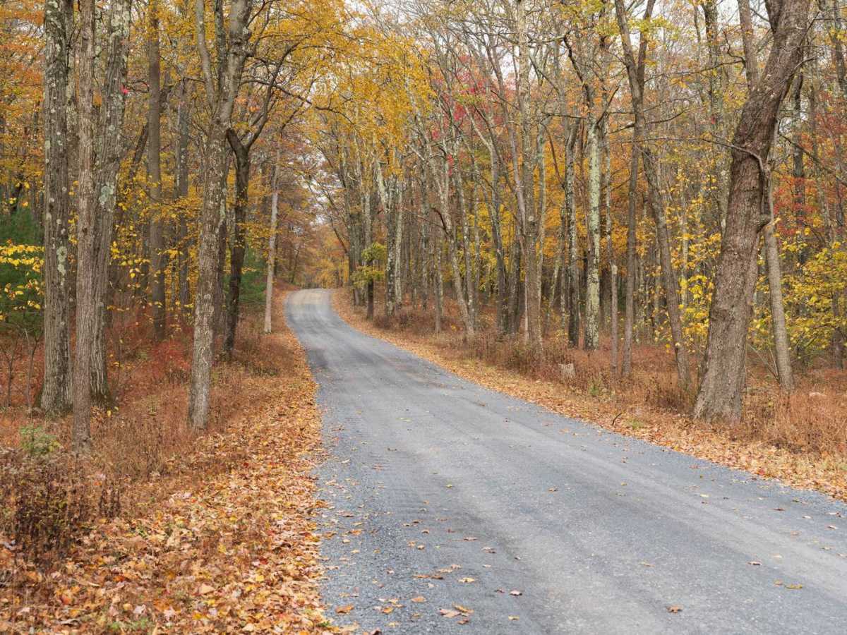 Siglerville Millheim Pike photo 5