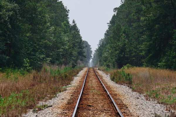 Jackie Lake Road - FSR 155