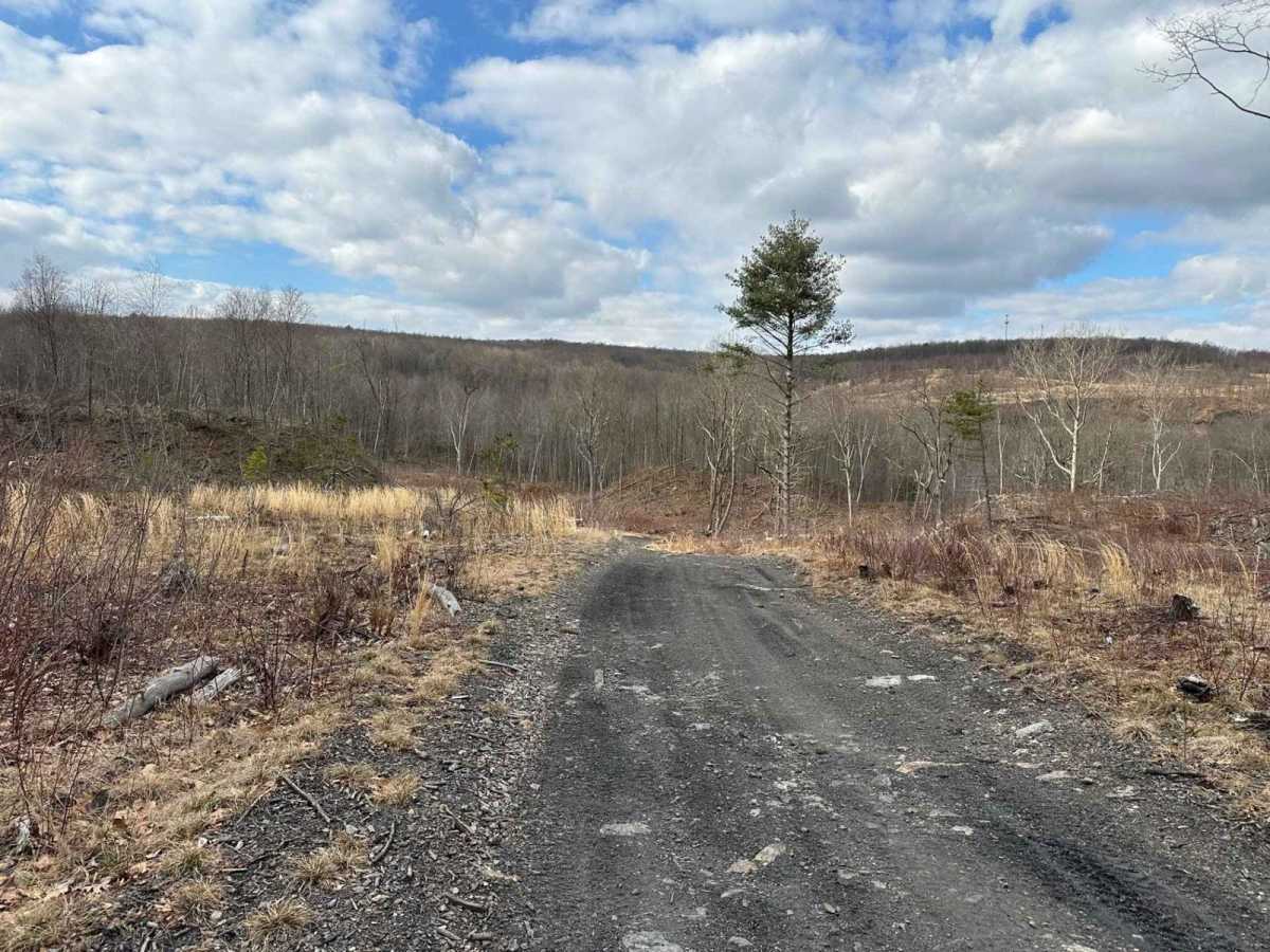 Ashland 69 photo 3
