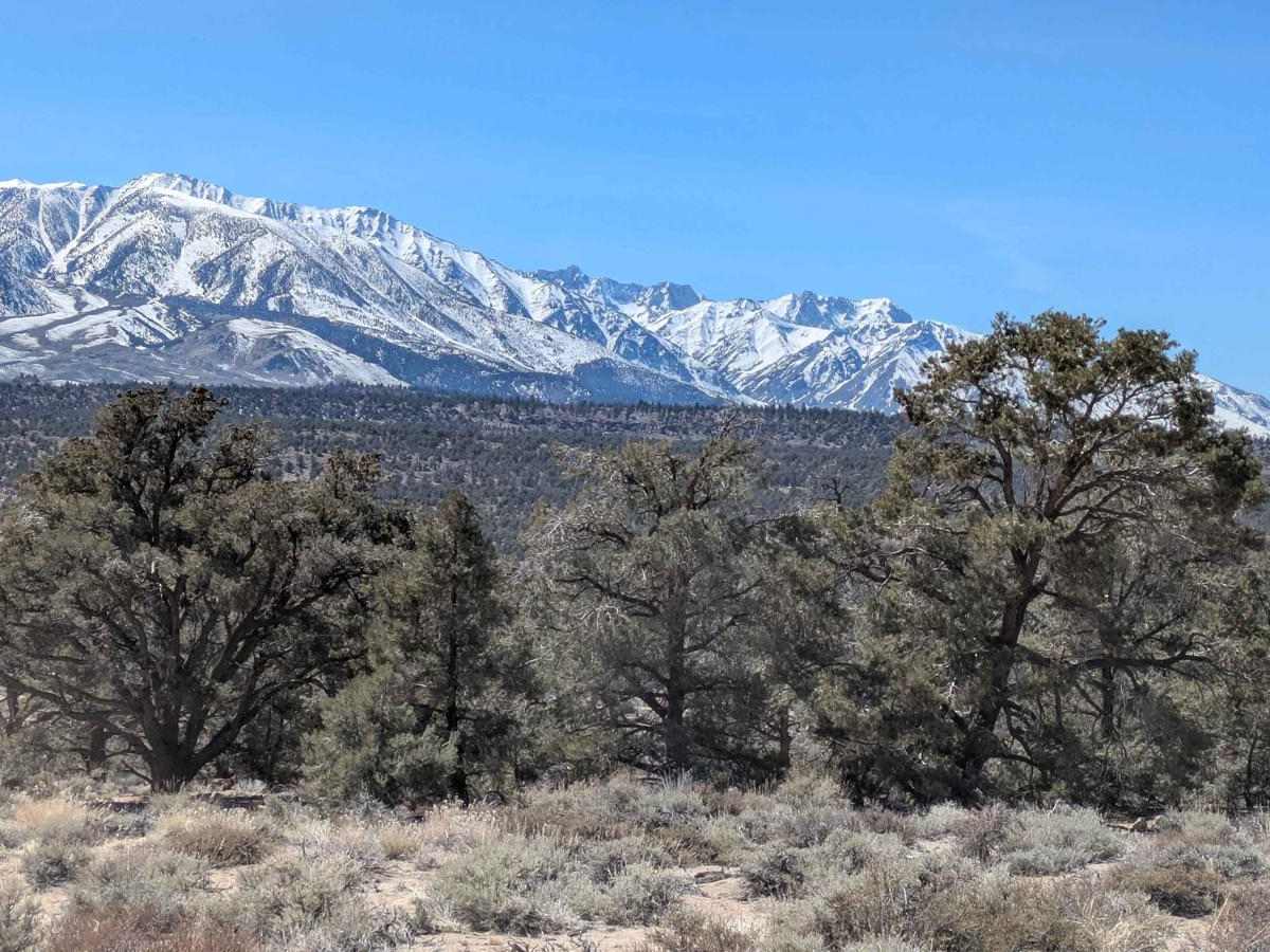 Casa Diablo Mountain FS S134 photo 5