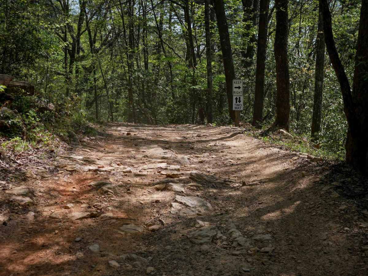 Parking Lot Trail 192 photo 3
