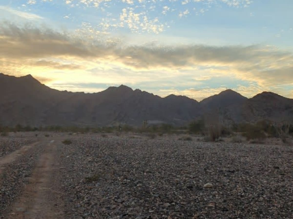 Oh Snap to Pumpkin Smasher Desert Run photo 3