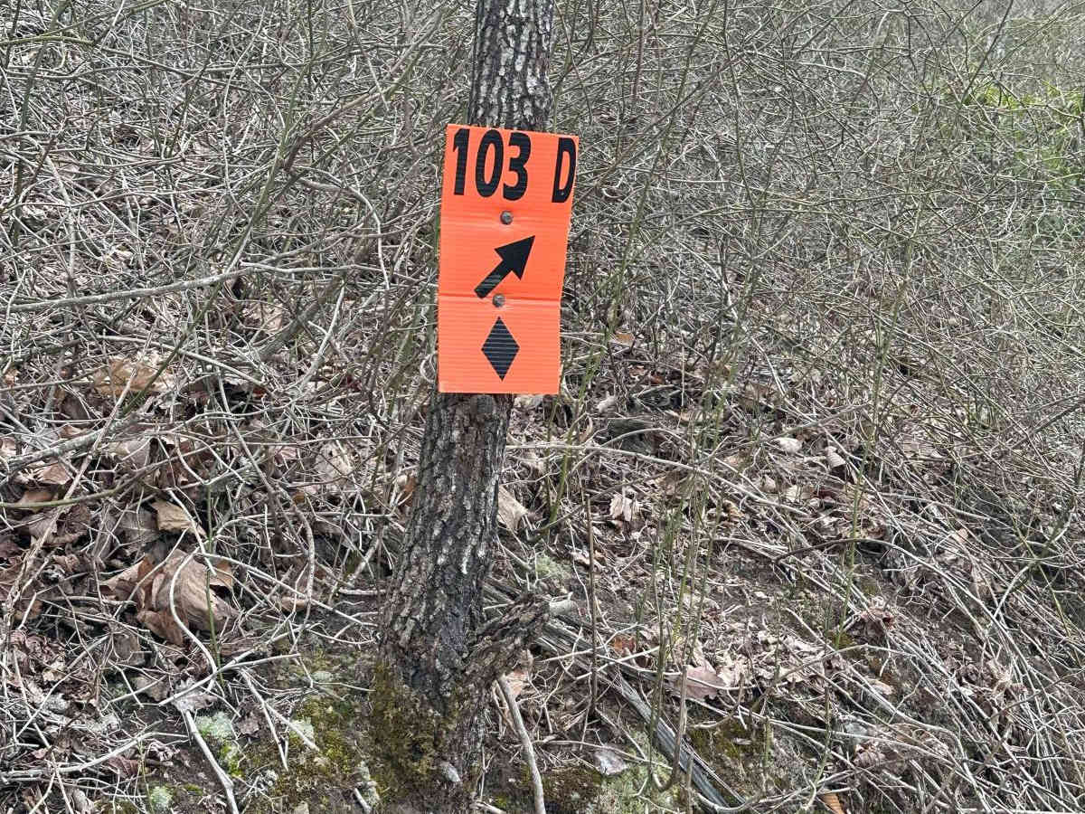 125 trail photo