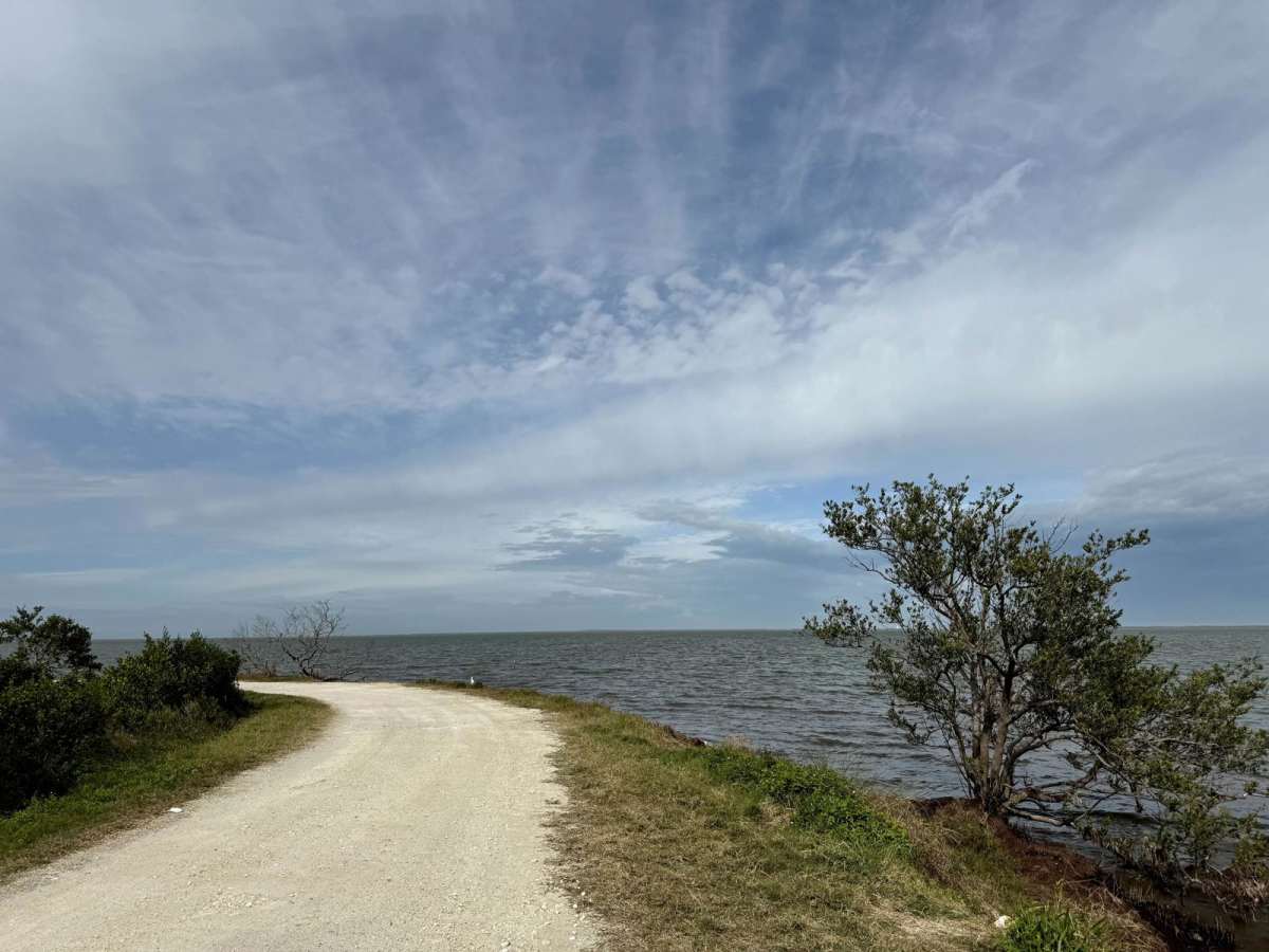Biolab Road photo 3